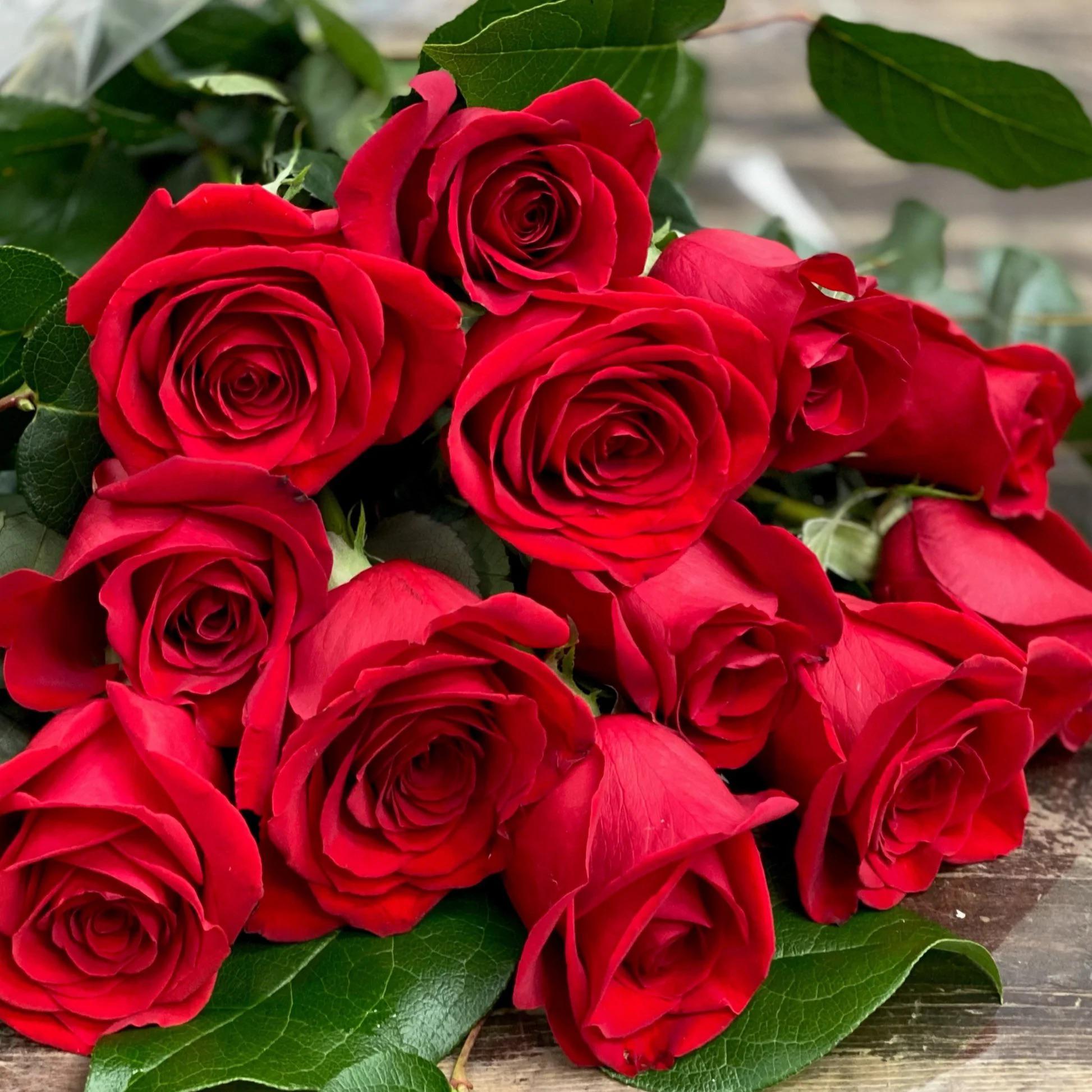 PREMIUM ROSE COLLECTION