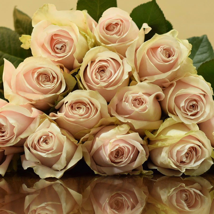 SWEET MANSI - PINK