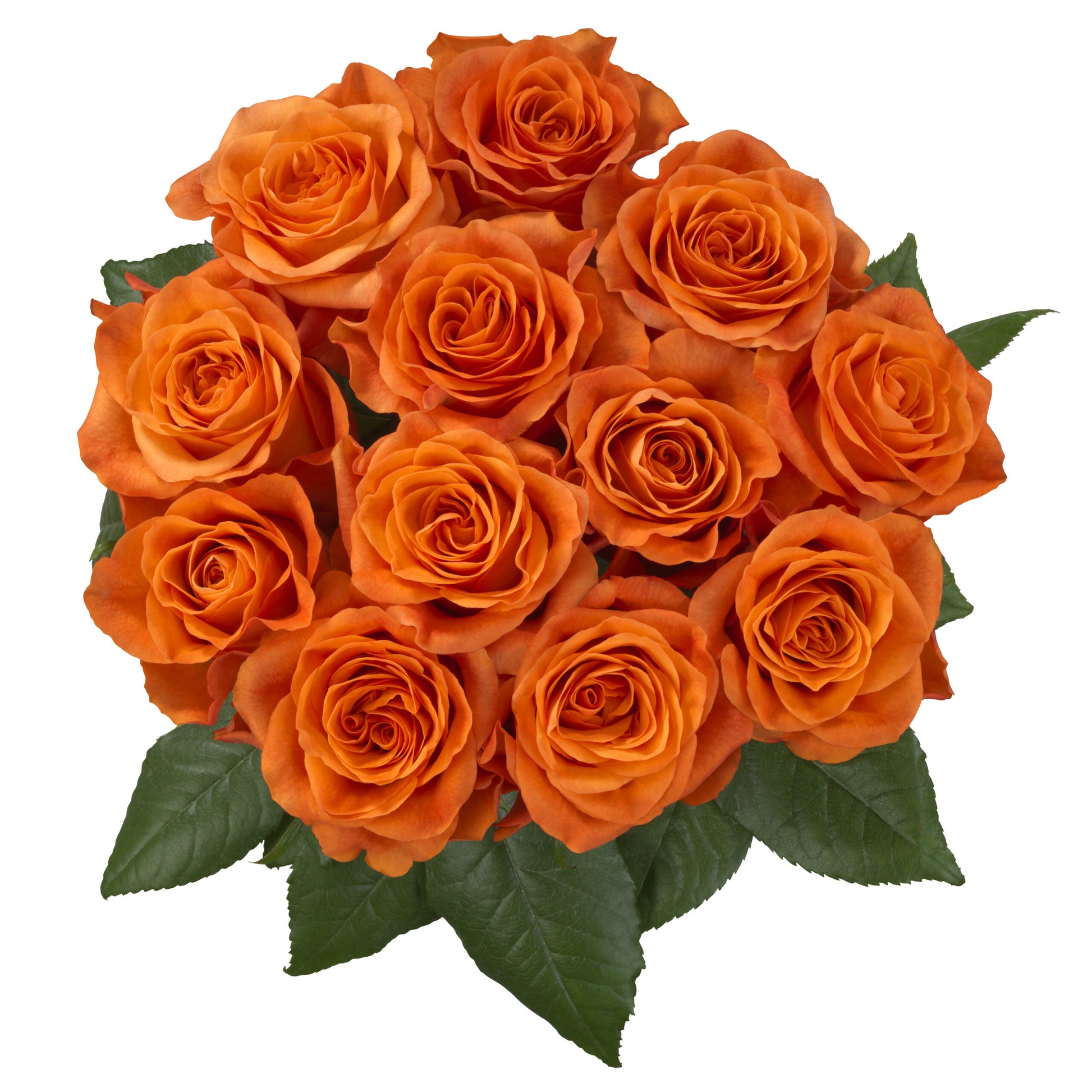 ORANGE WAVE - ORANGE
